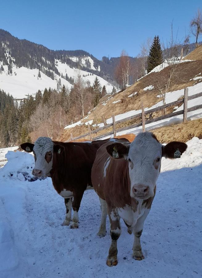 Willa Almhof Grub Wagrain Zewnętrze zdjęcie
